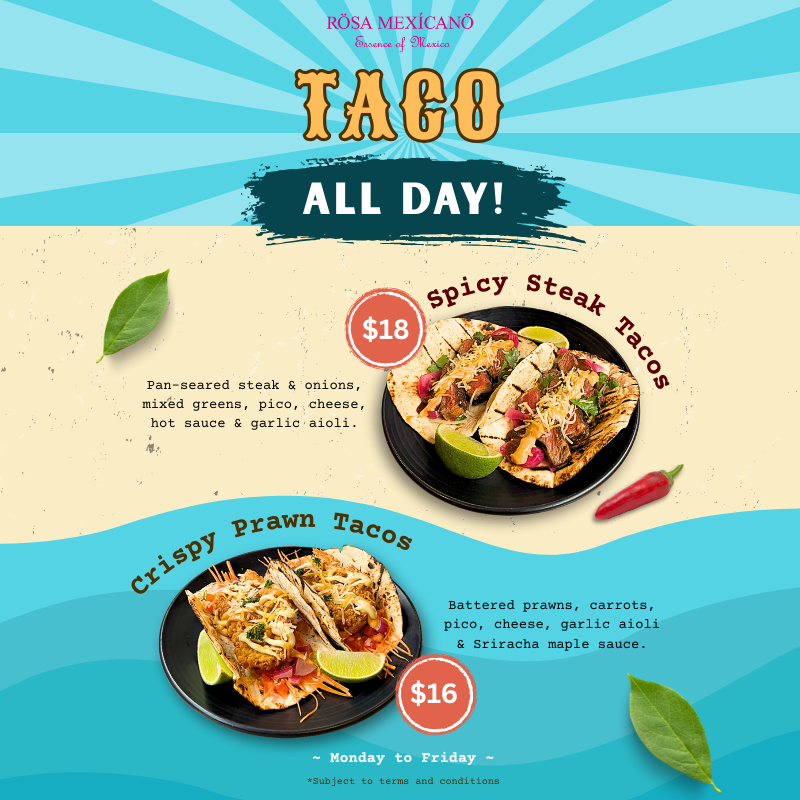 Taco All Day 800x800
