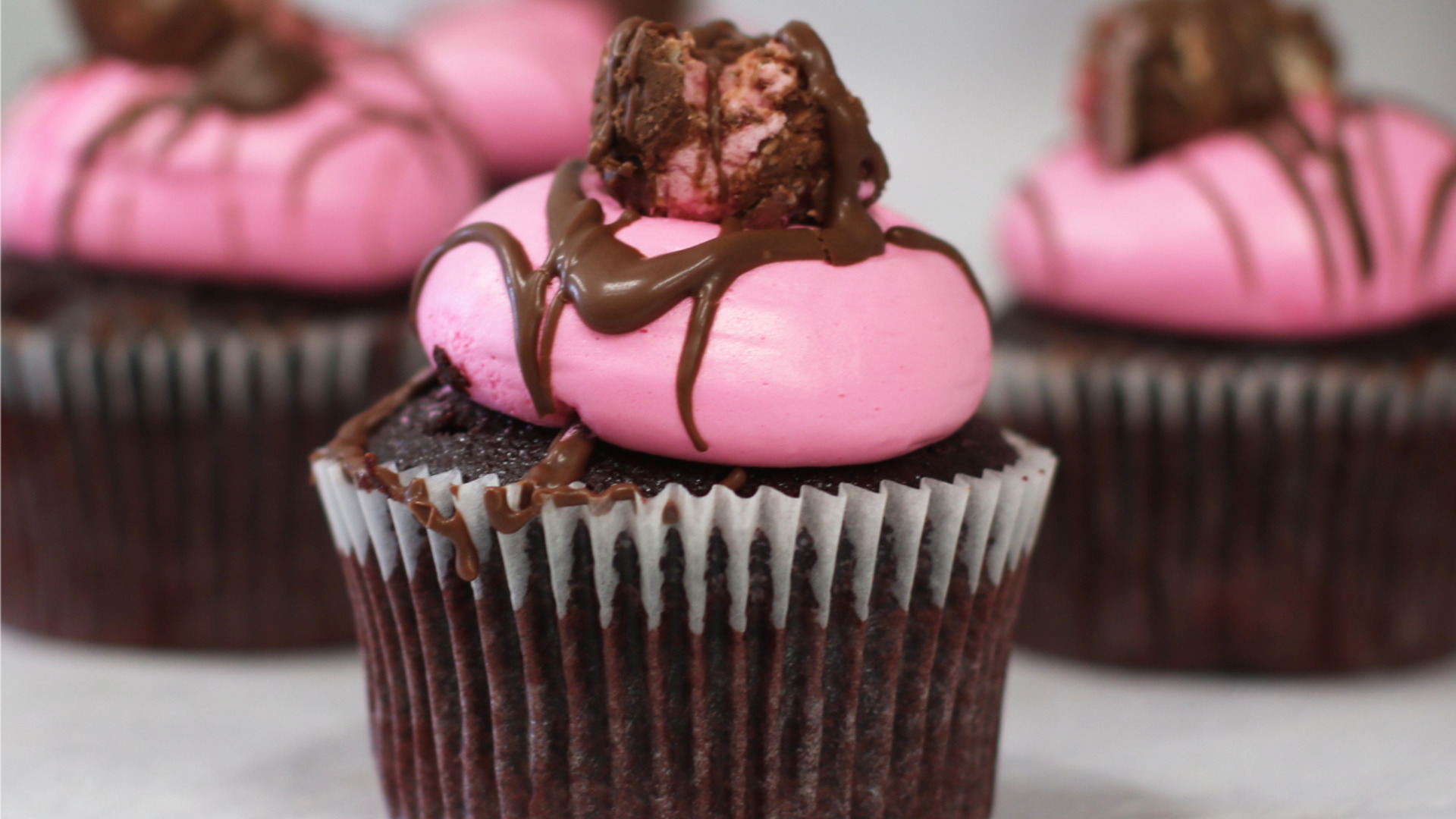 1414x1354px CM web image2_a66d9a7a_9503_4507_bd32_d48e7f6d9f04.png