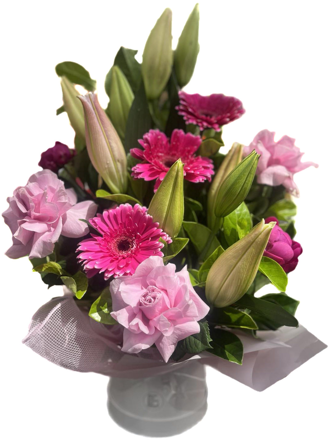 Clippedimage20231130073553_1_1_1_1