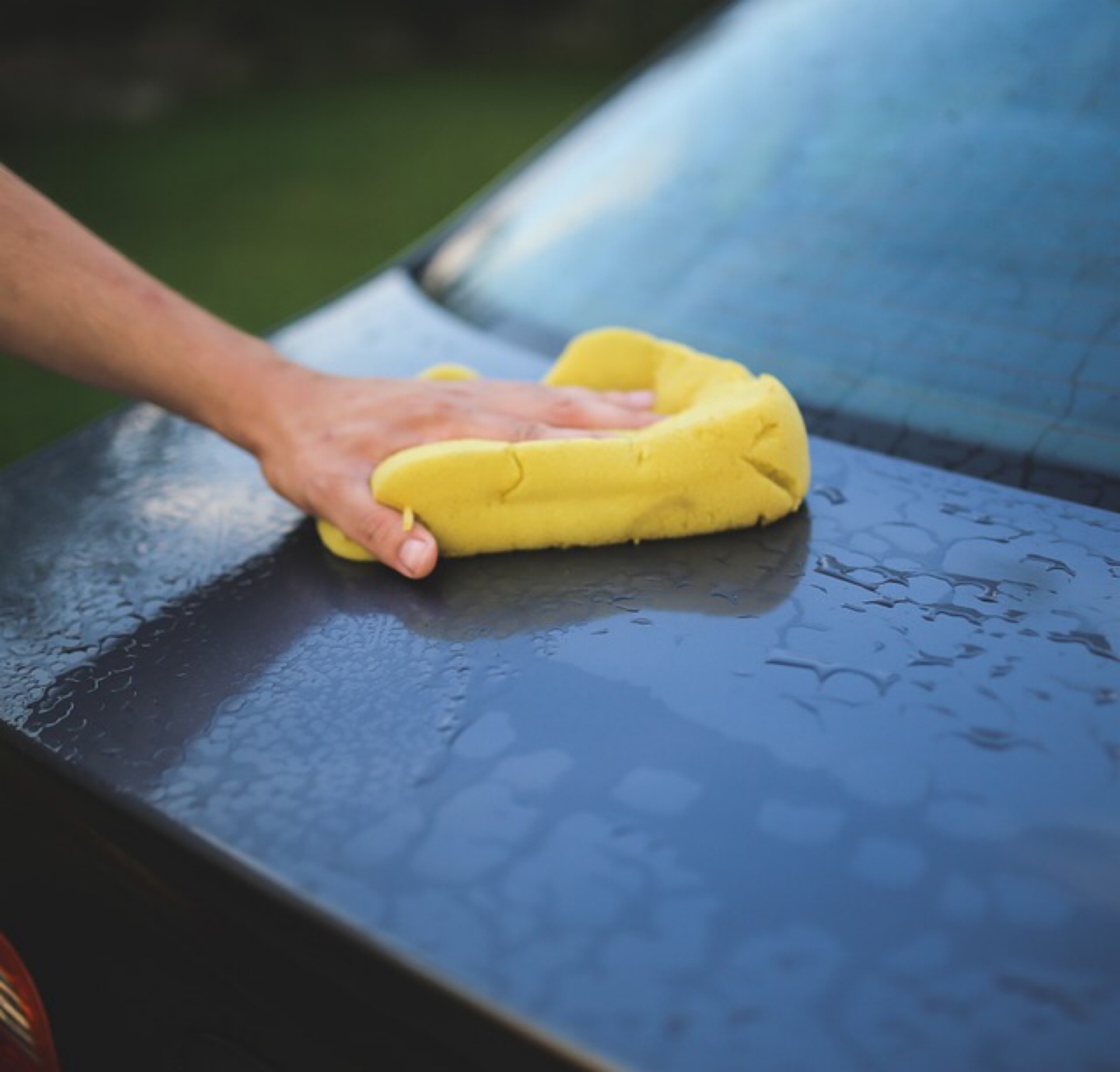 Wash Plus